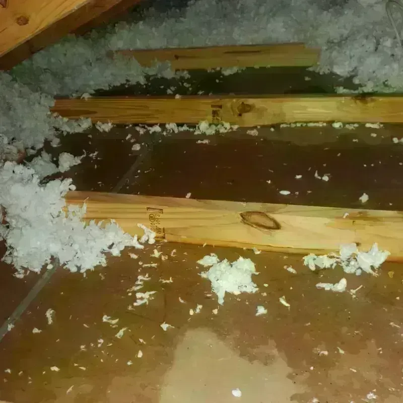 Attic Water Damage in Daniel, UT