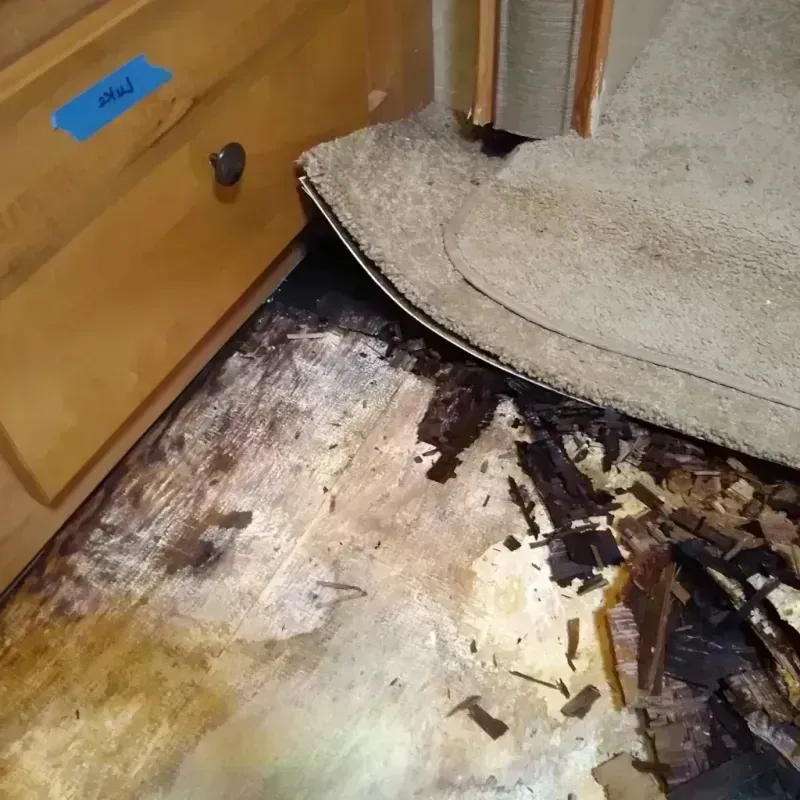 Wood Floor Water Damage in Daniel, UT